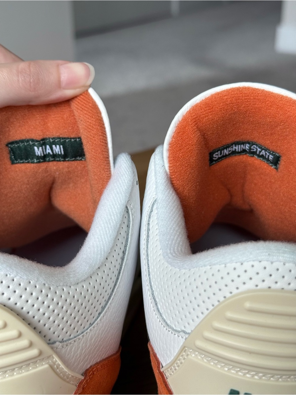 Nike Air Jordan 3 Retro SE Solefly Miami Beige Orange Green Sneakers Men’s 11 - Picture 8 of 15